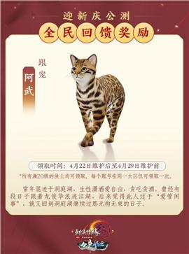 天龙八部私服宝宝锁定